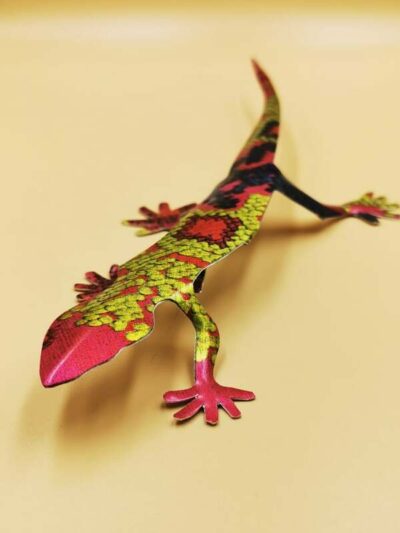 Gecko-Lila