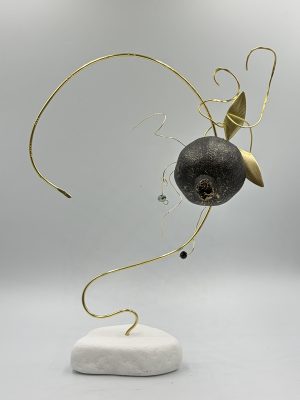 Pomegranate On Branch