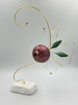 Pomegranate On Branch