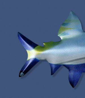 Fish_Oscar - Image 2